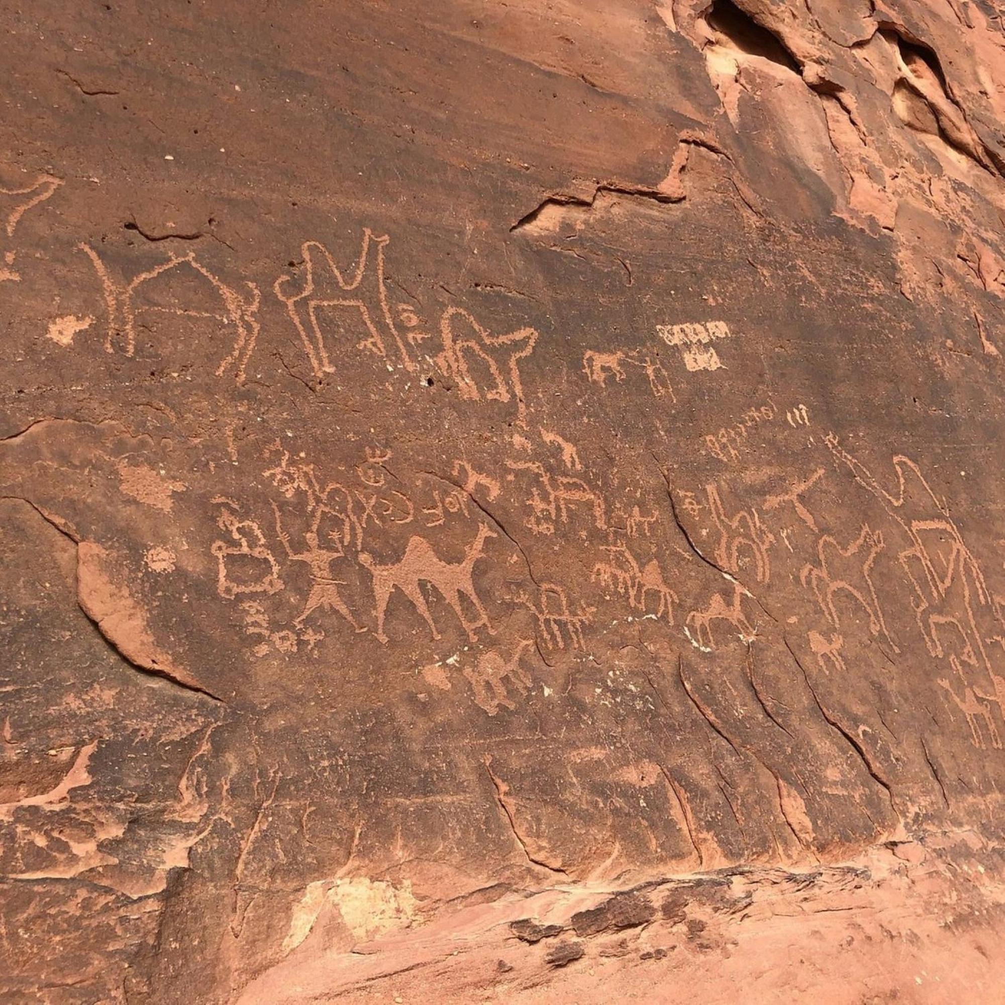 Calm Camp Bed & Breakfast Wadi Rum Exterior foto